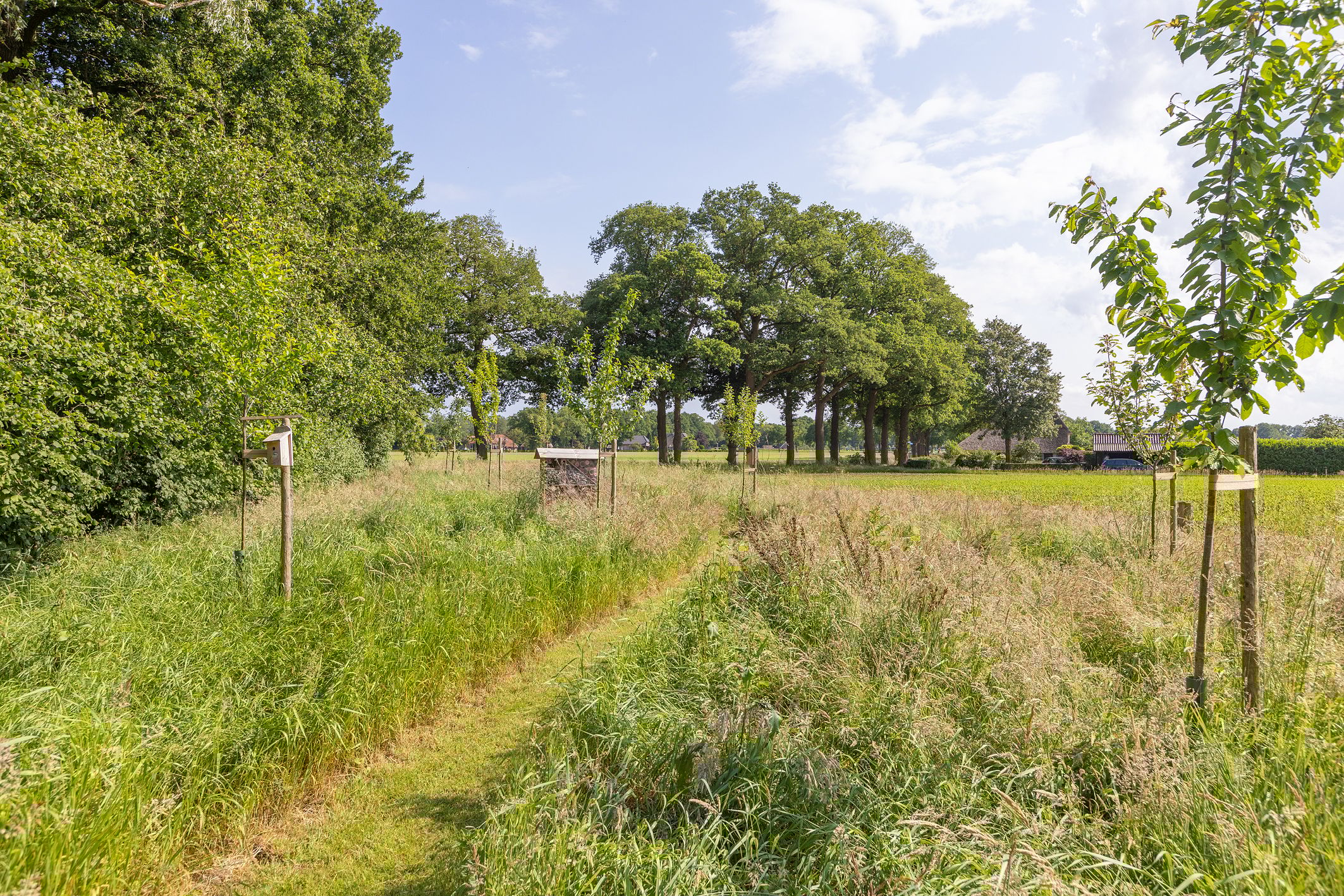 Foto 66 van Haarloseweg 4