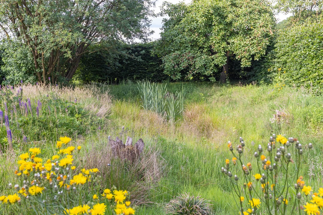 Foto 67 van Haarloseweg 4