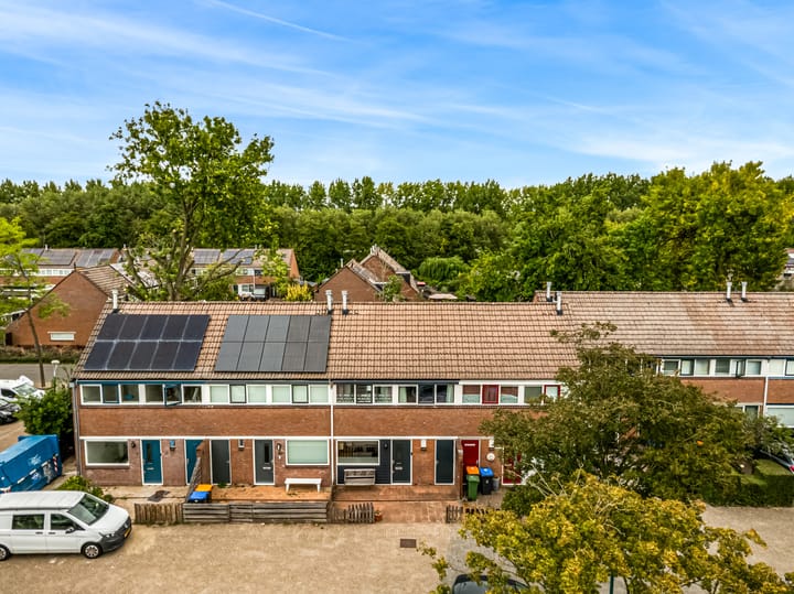 Foto 33 van Kamelenspoor 198