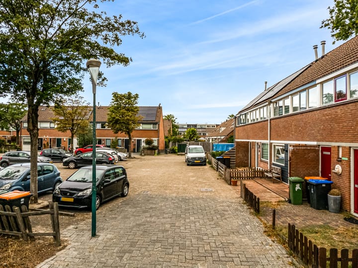 Foto 35 van Kamelenspoor 198