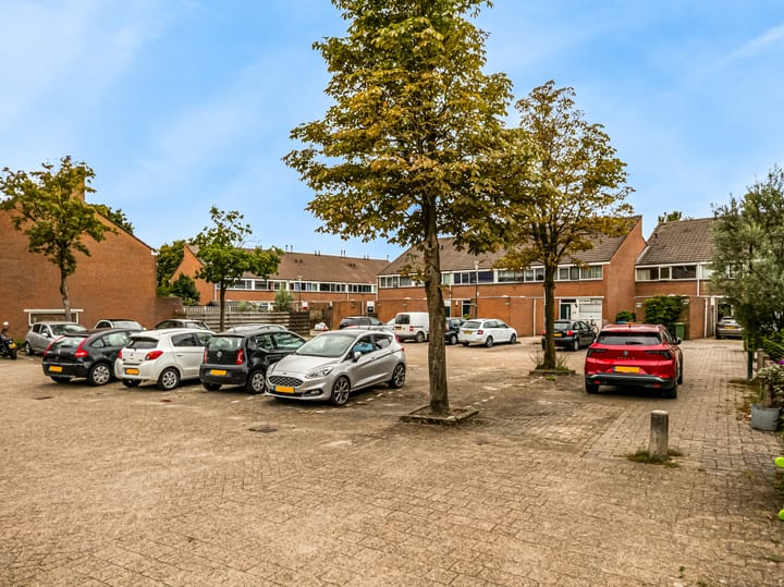 Foto 37 van Kamelenspoor 198