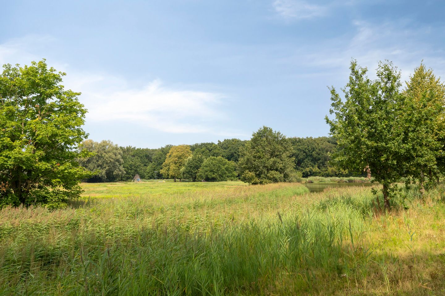 Foto 55 van Boerhaavelaan 1