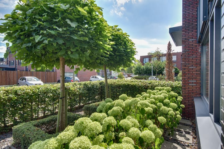 Foto 29 van Zesde Donk 70