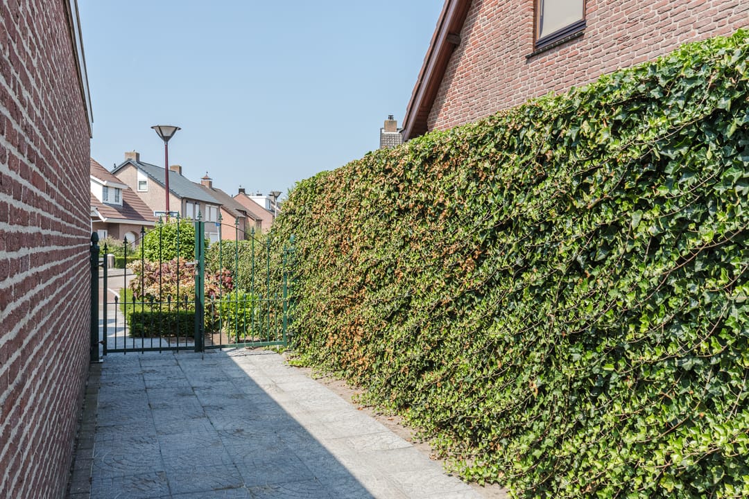 Photo 62 of Beukenlaan 5