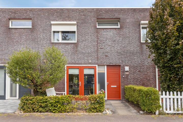 Foto 1 van Zandroos 30