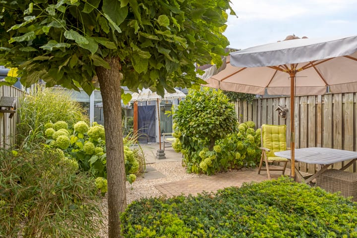 Foto 24 van Zandroos 30