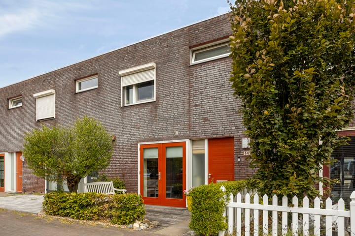 Foto 26 van Zandroos 30