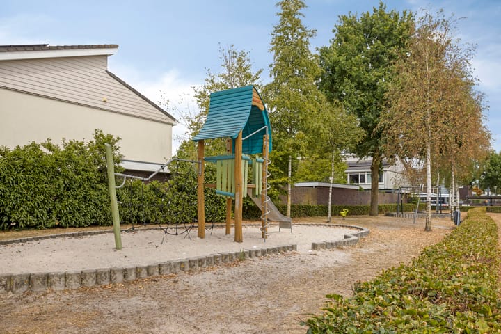 Foto 25 van Zandroos 30