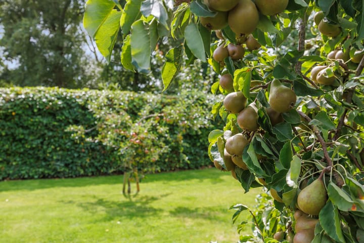 Foto 62 van Stationsweg 72