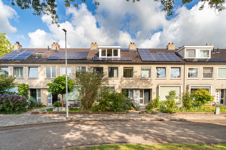 Foto 38 van Damhertlaan 141