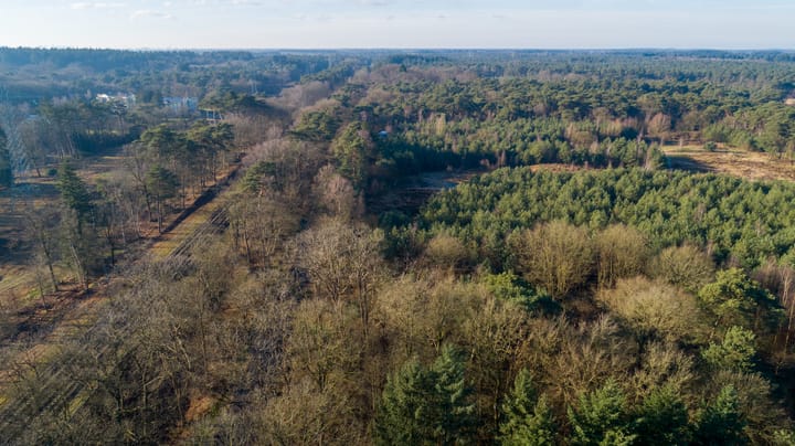 Foto 9 van de Beaufortlaan 44