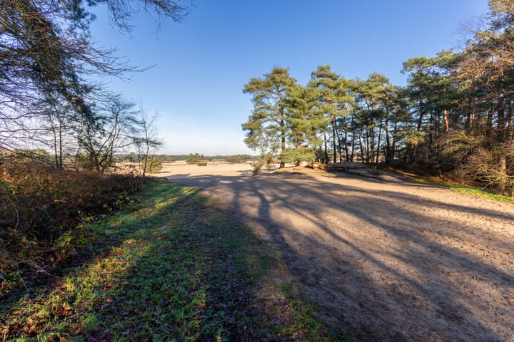 Foto 13 van de Beaufortlaan 44