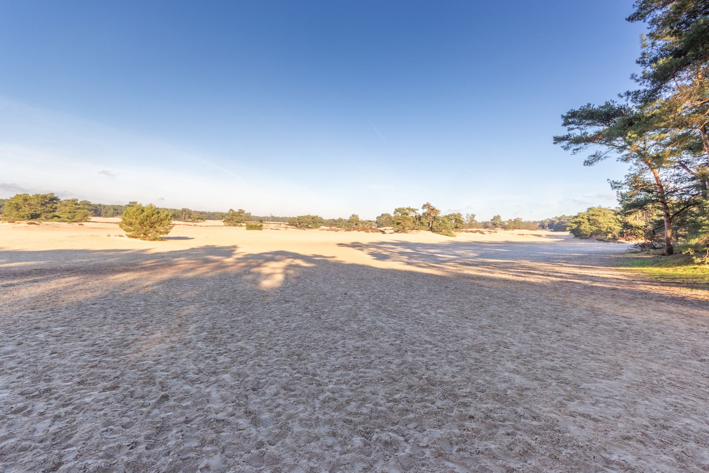 Foto 14 van de Beaufortlaan 44