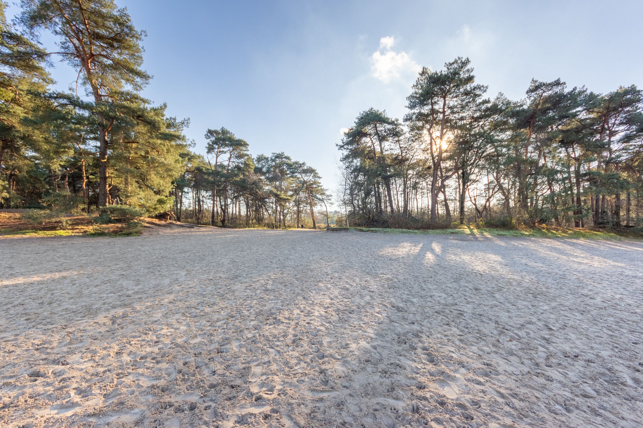 Foto 15 van de Beaufortlaan 44