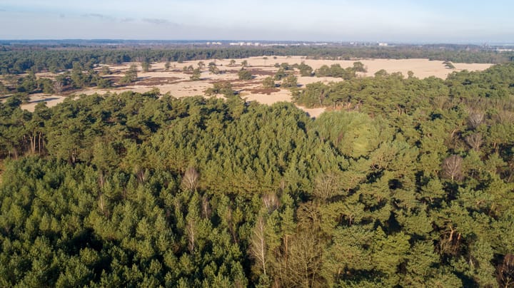 Foto 12 van de Beaufortlaan 46