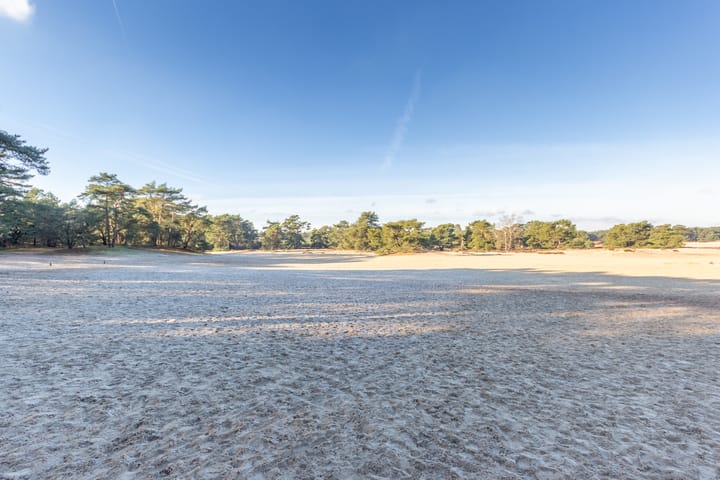 Foto 14 van de Beaufortlaan 46