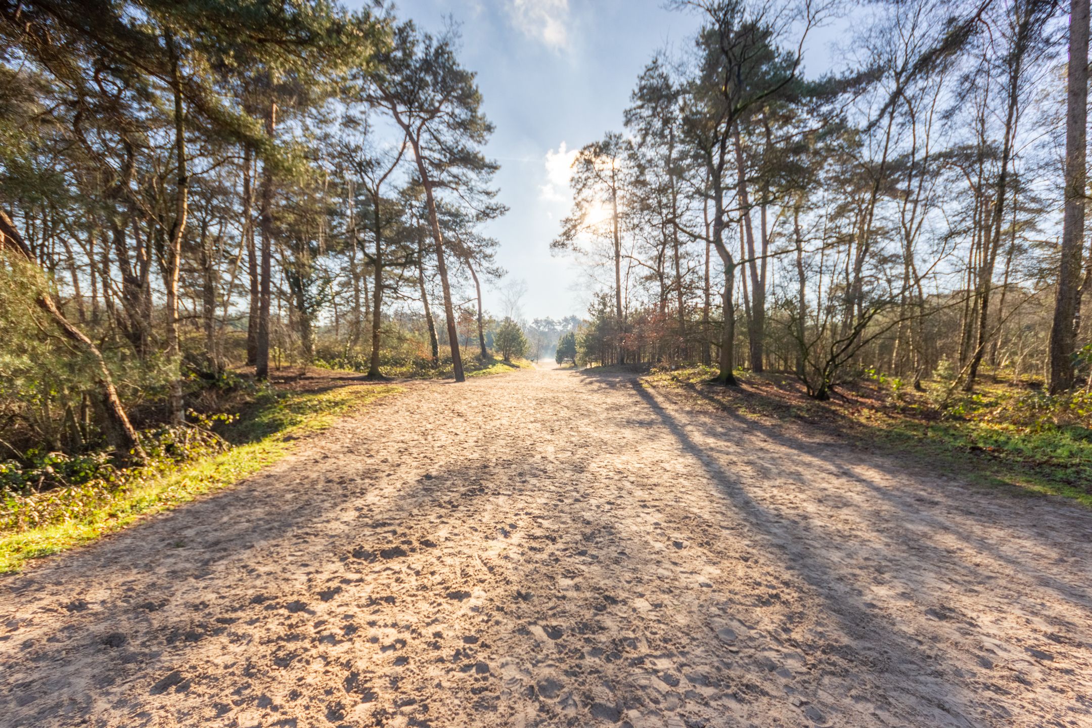 Foto 15 van de Beaufortlaan 46