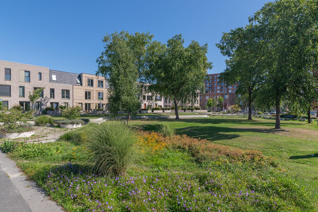 Photo 2 of Parsifalpad 25