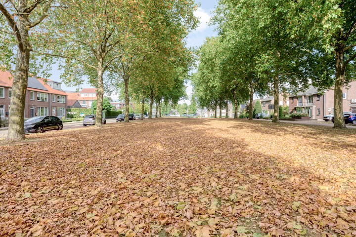 Foto 38 van Willem van de Veldestraat 7