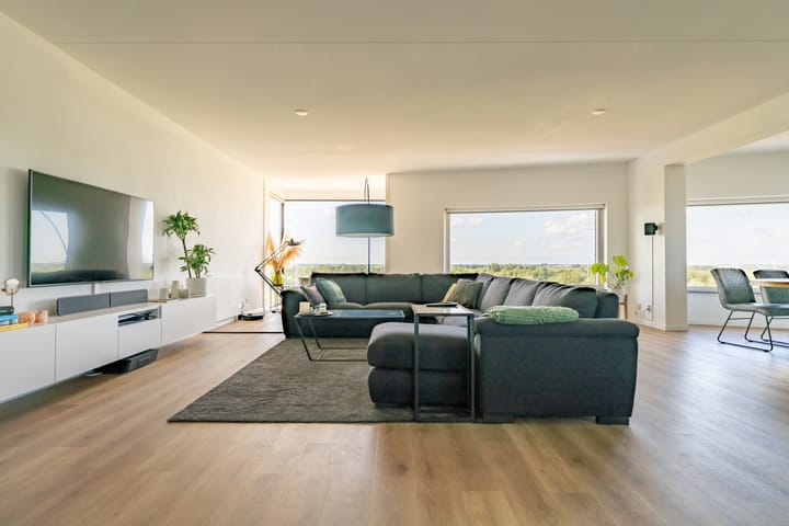 Foto 2 van Forel 172