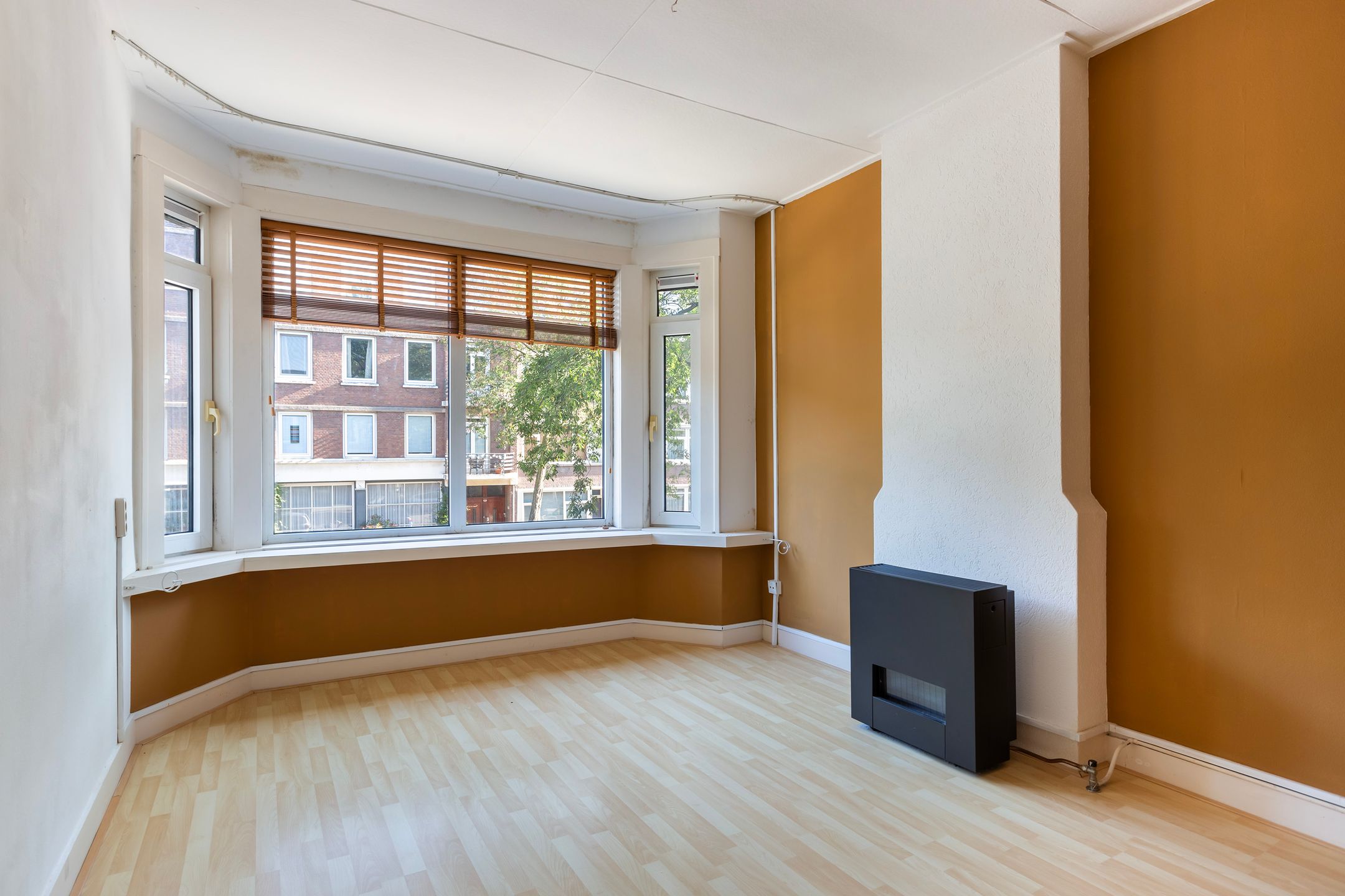 Photo 24 of Willem Buytewechstraat 160-B