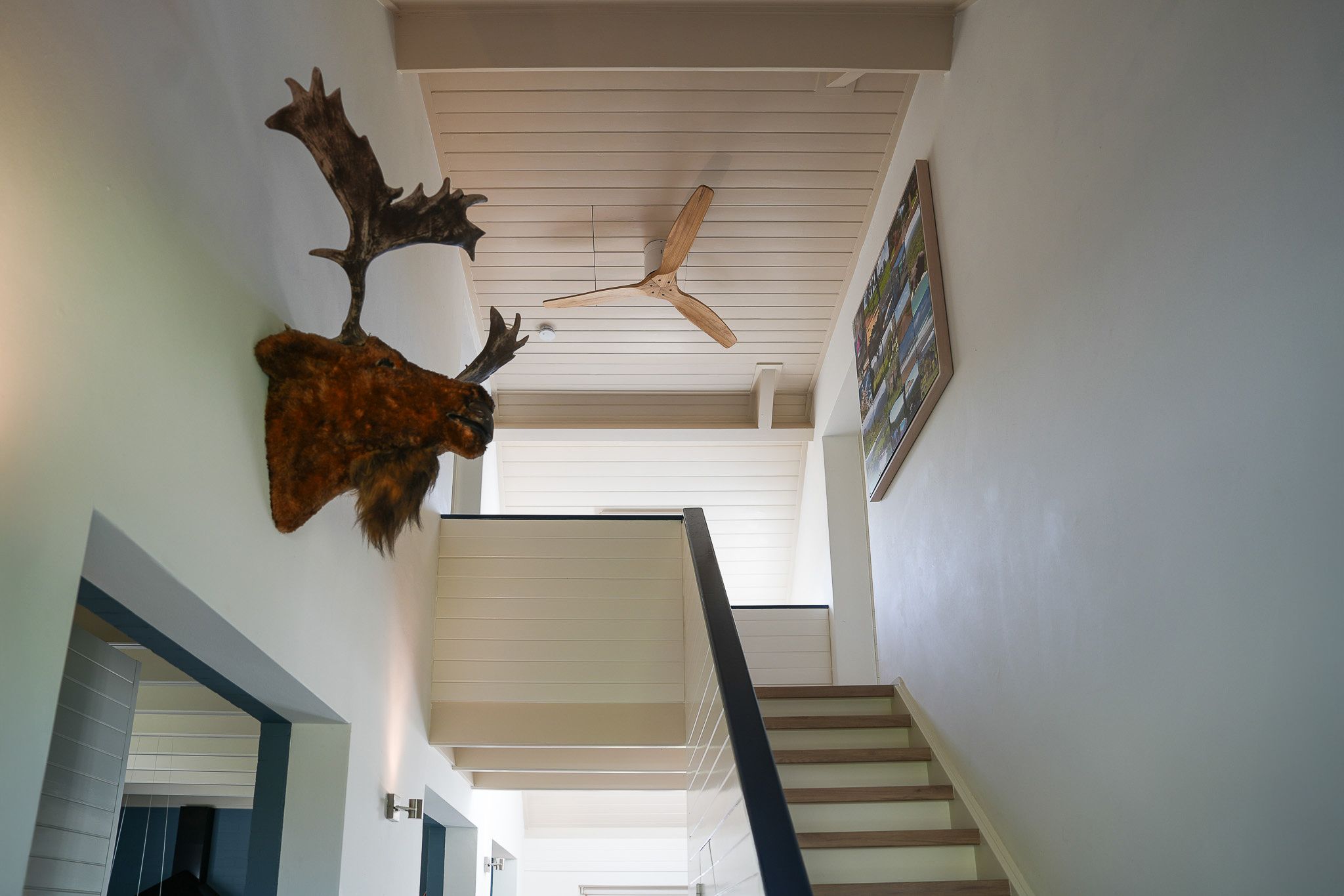 Photo 39 of Waalbandijk 21