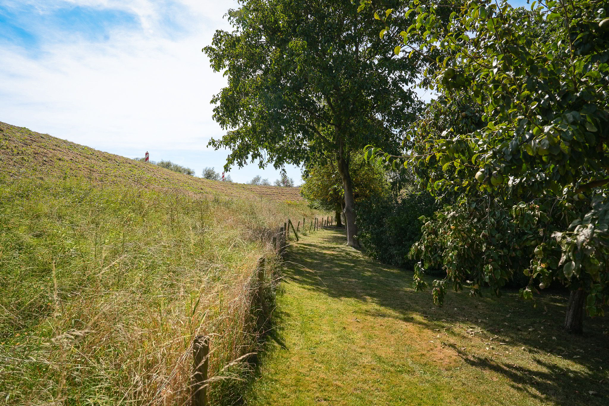 Photo 51 of Waalbandijk 21