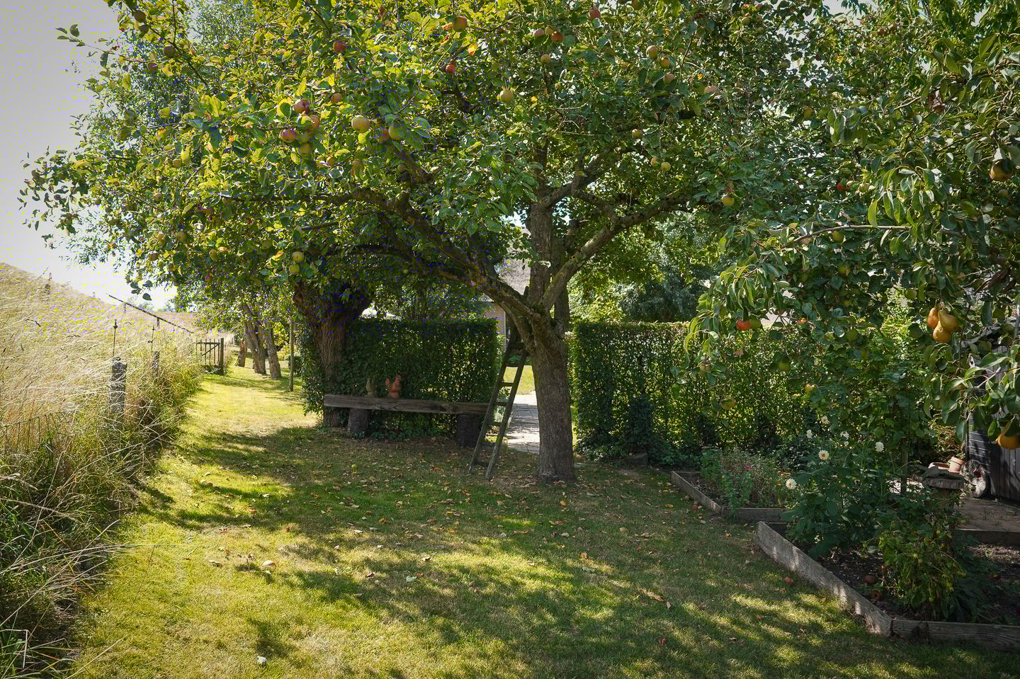 Photo 55 of Waalbandijk 21