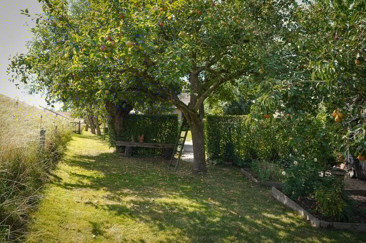 Foto 55 van Waalbandijk 21