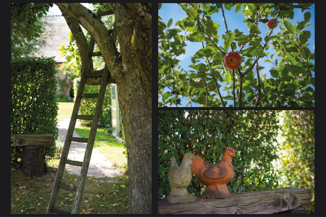 Photo 56 of Waalbandijk 21