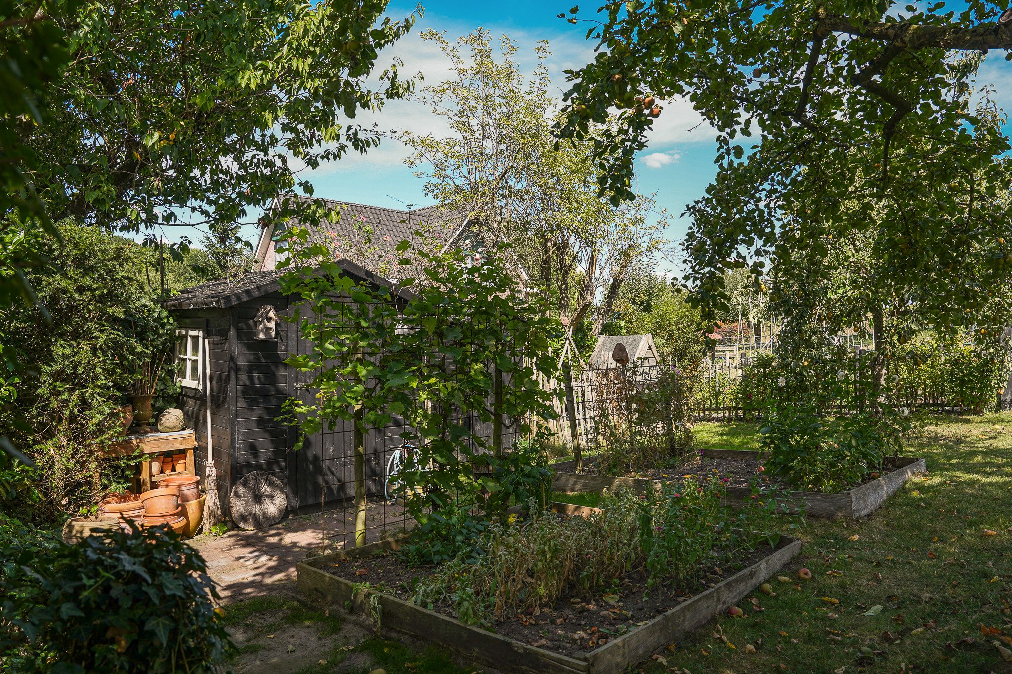 Photo 57 of Waalbandijk 21