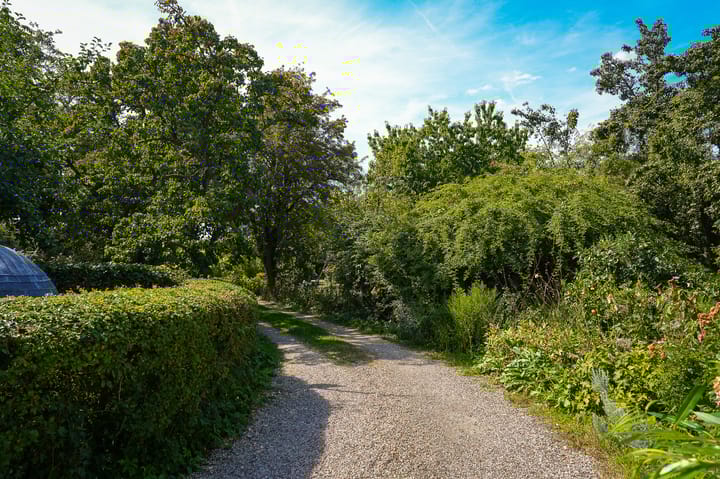 Foto 64 van Waalbandijk 21