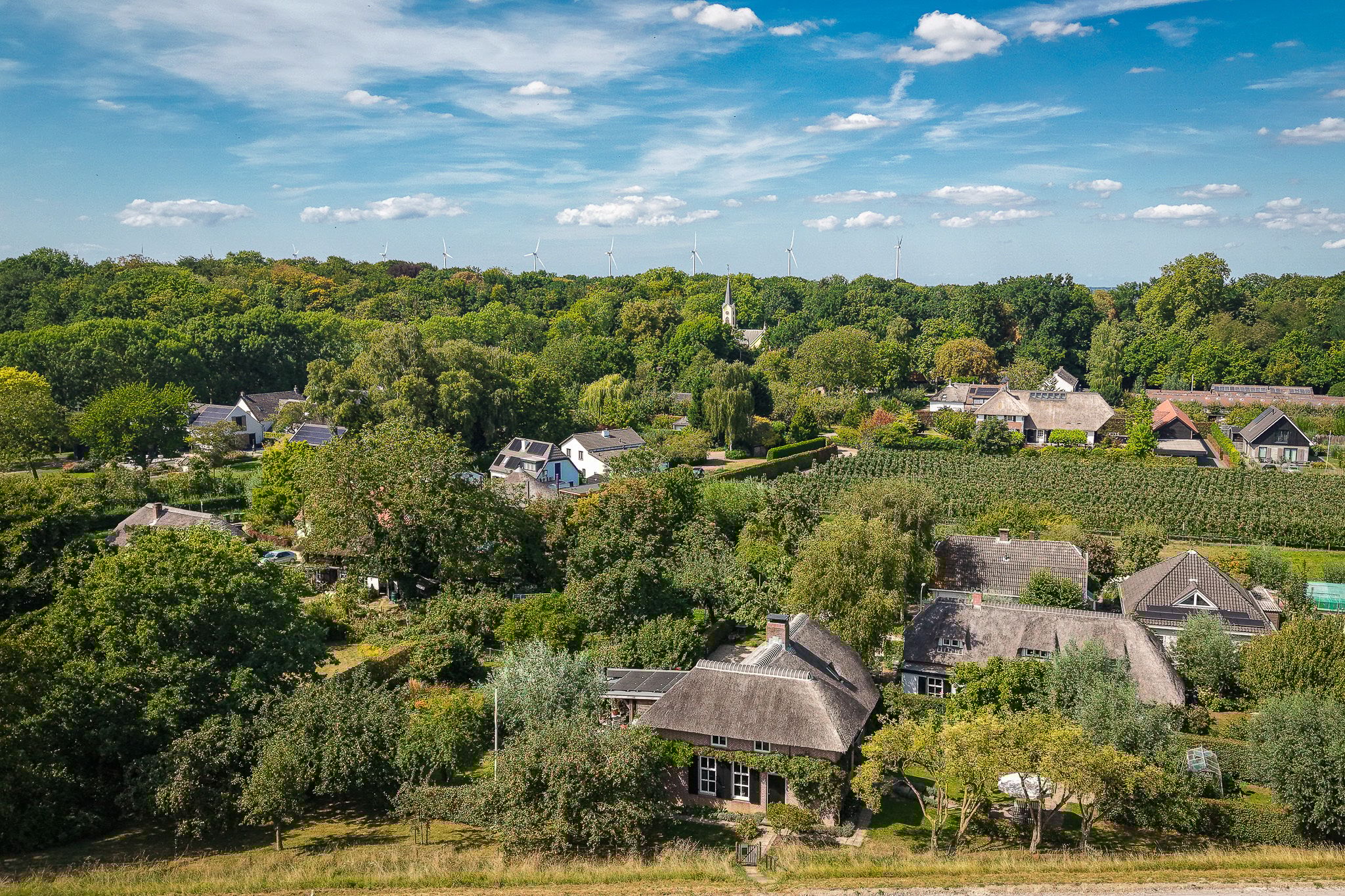 Photo 66 of Waalbandijk 21