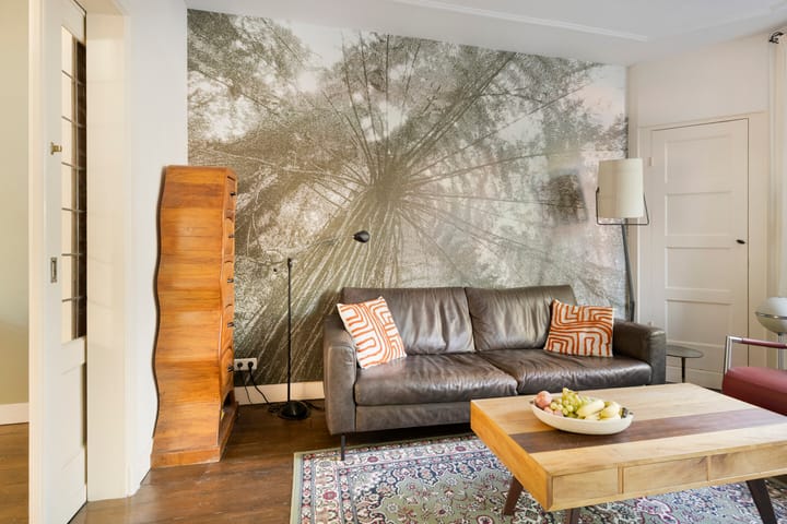 Foto 12 van Jan Vermeerstraat 16