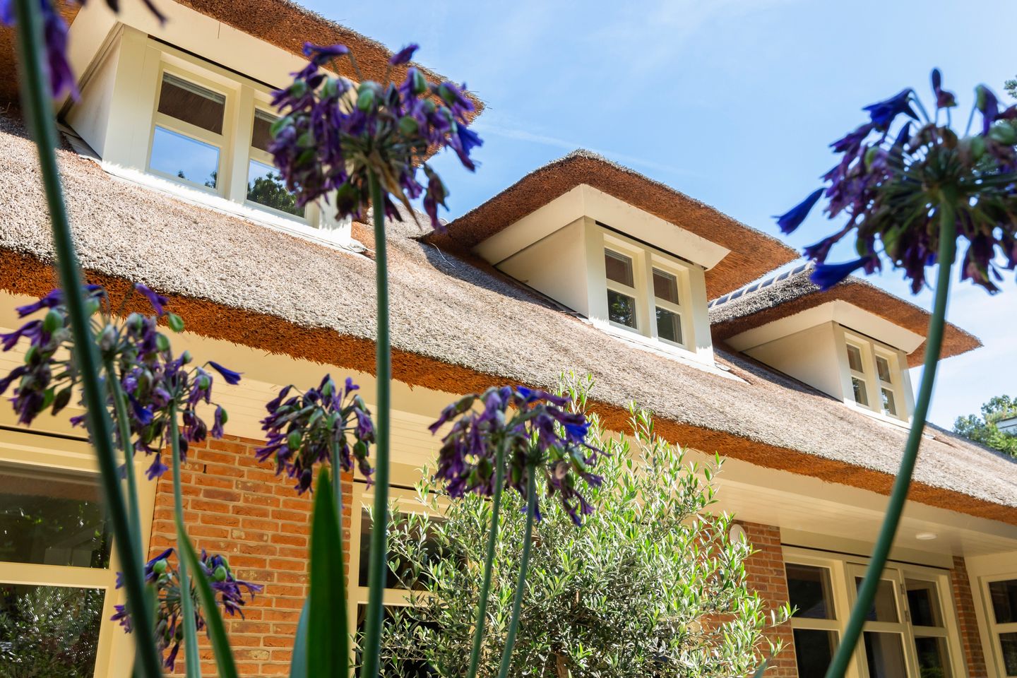 Photo 59 of Koninginnelaan 9