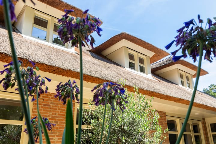 Photo 59 of Koninginnelaan 9