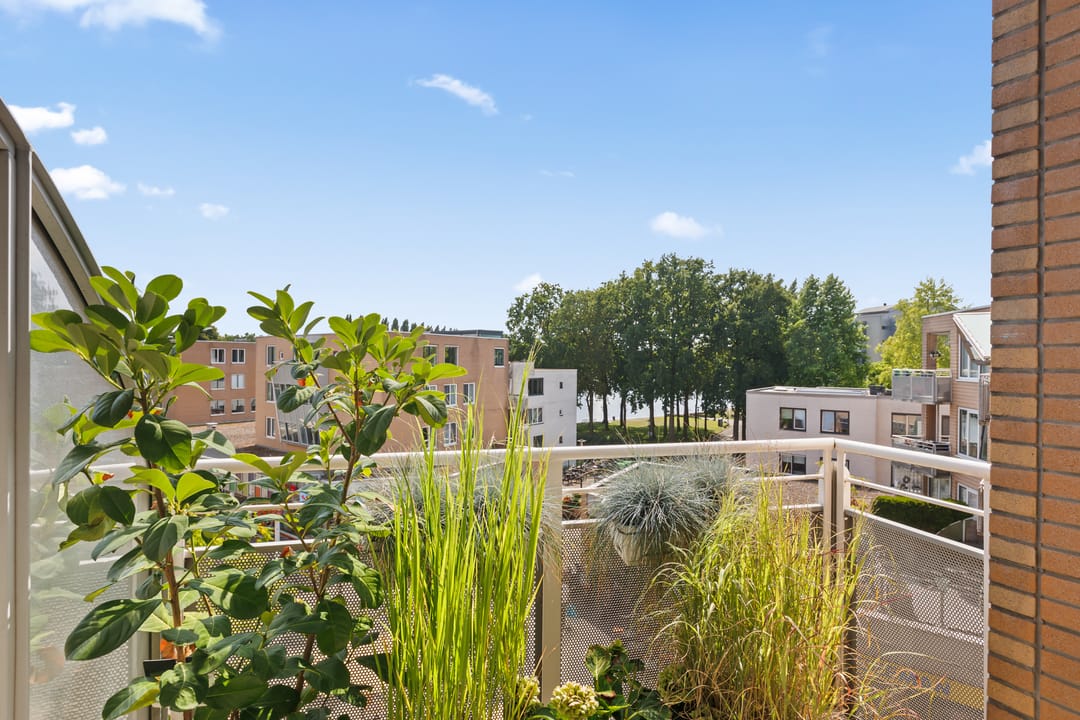 Photo 26 of Emiclaerhof 82