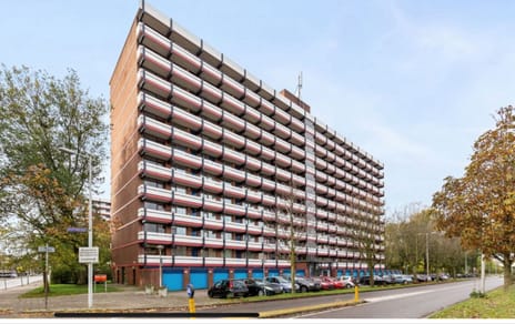 undefined main image