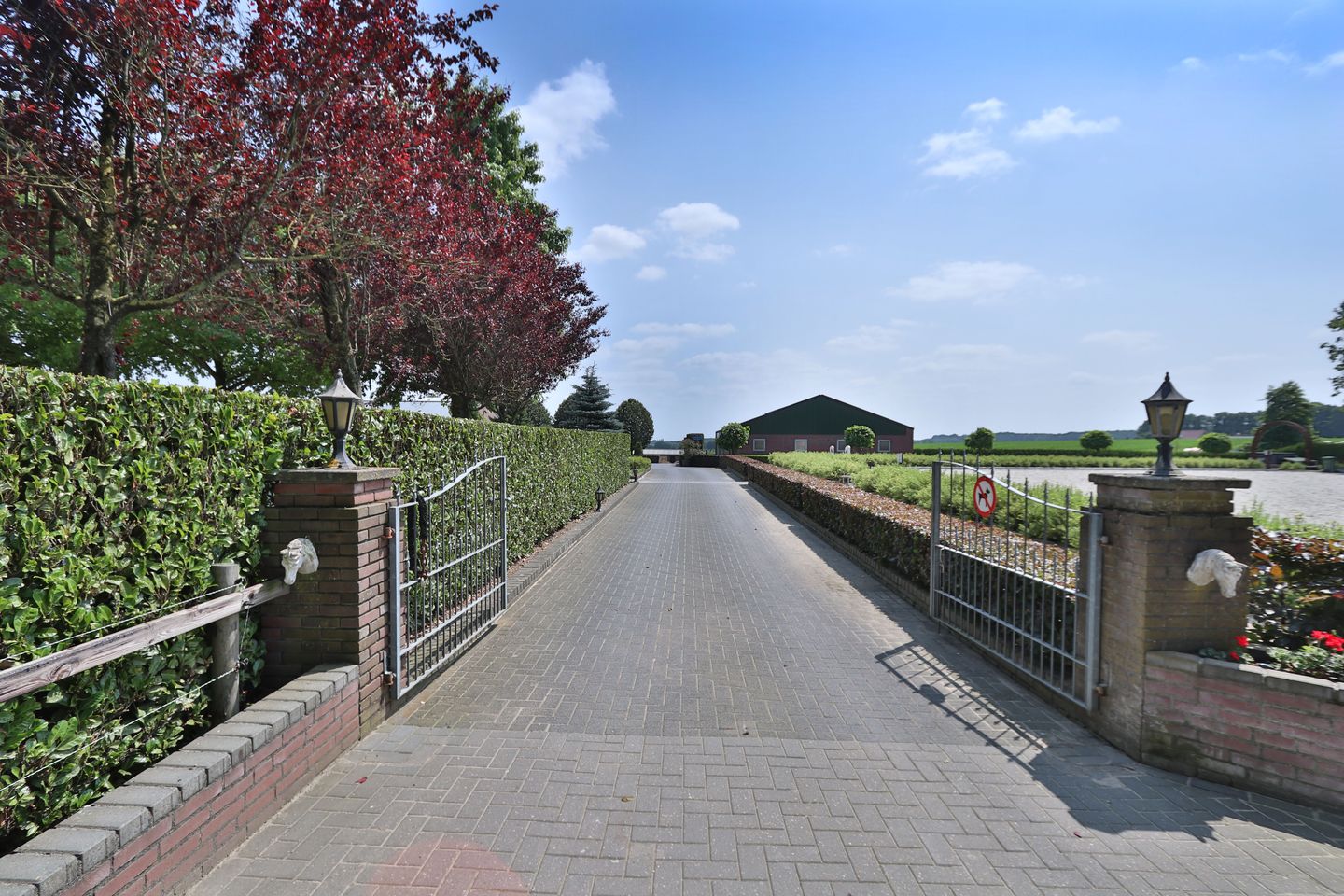 Klein Amerika 1 - Groesbeek - Afbeelding 6