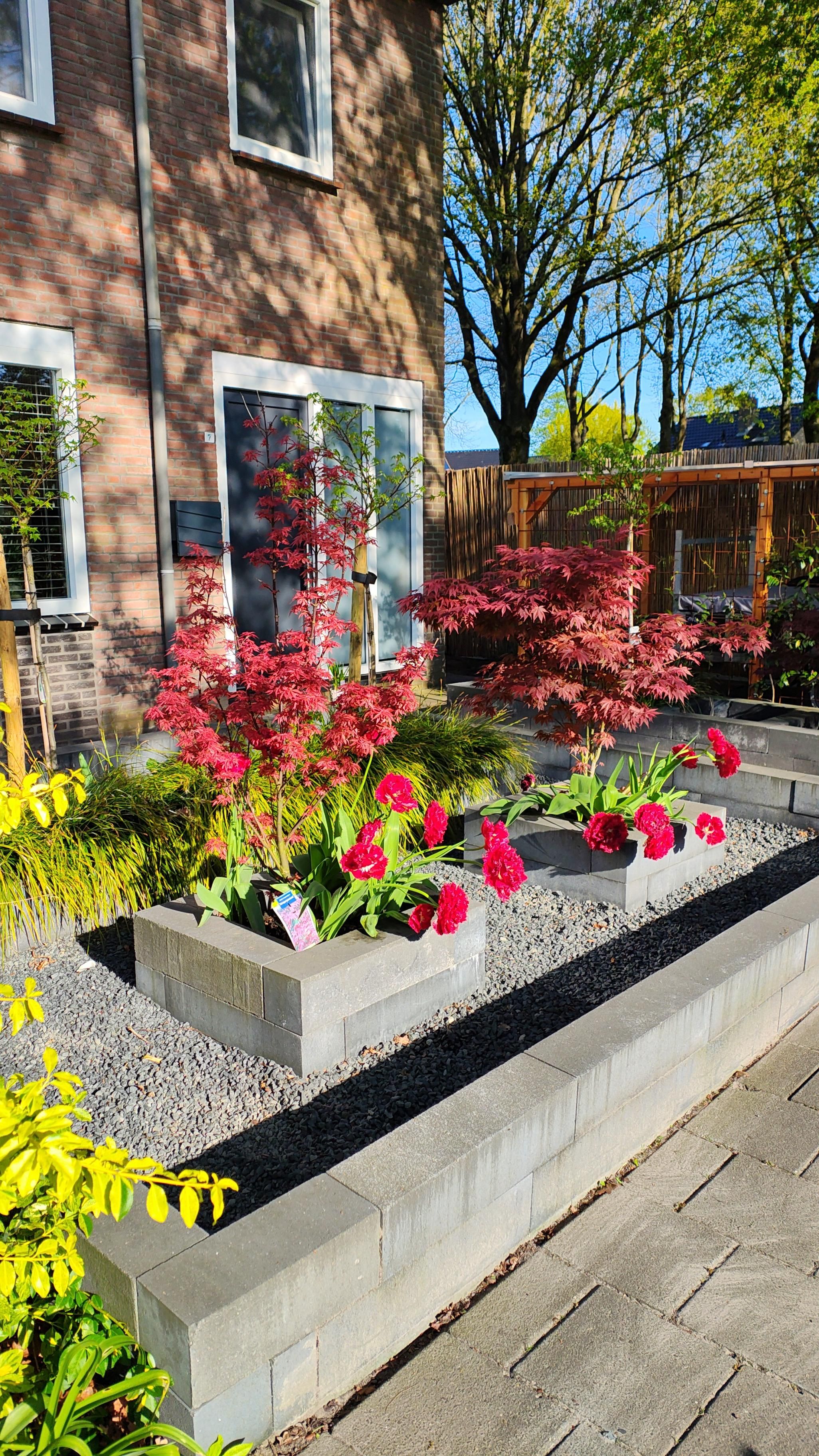 Foto 42 van Kwartelstraat 7