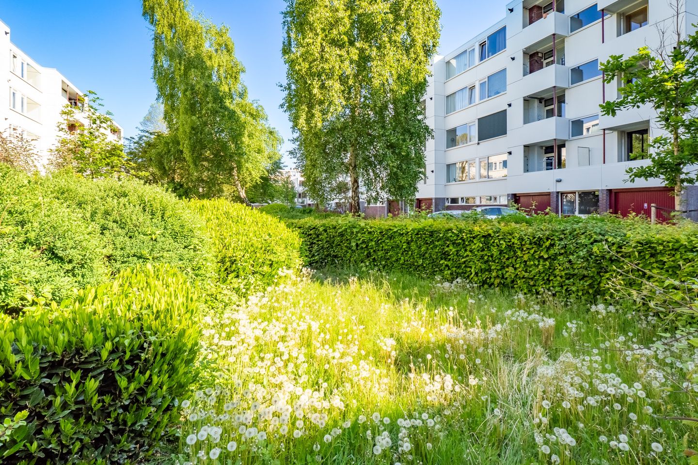 Photo 29 of Telderslaan 37