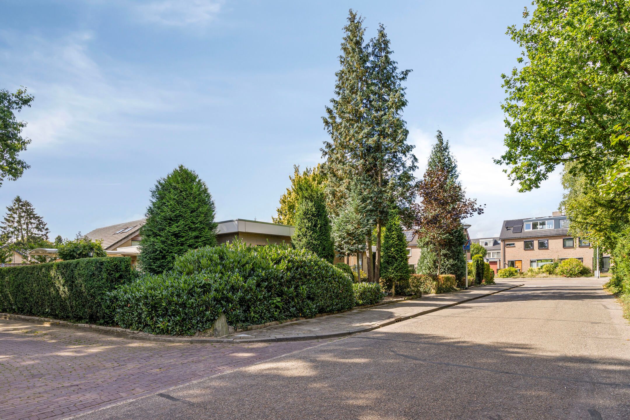 Foto 36 van Randwijksingel 34