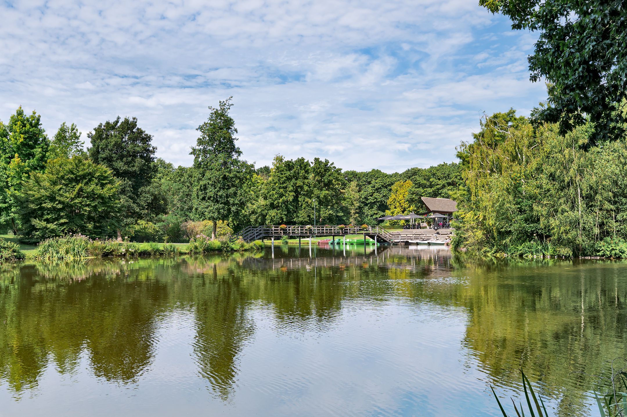 Foto 33 van Irenestraat 39