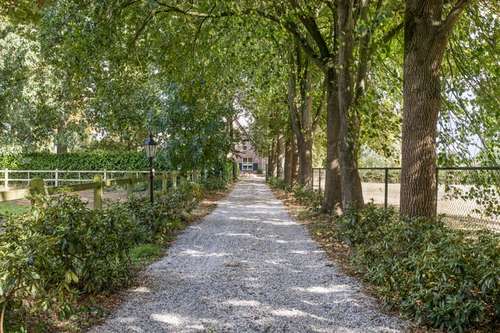 Foto 5 van Driehuizerweg 10
