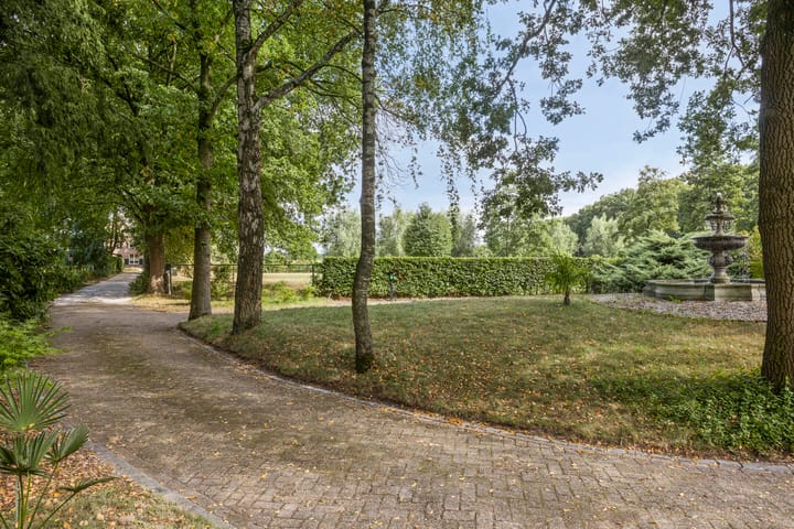 Foto 35 van Driehuizerweg 10