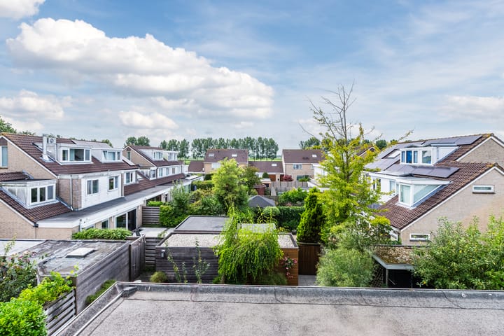 Foto 38 van De Vriendschap 9