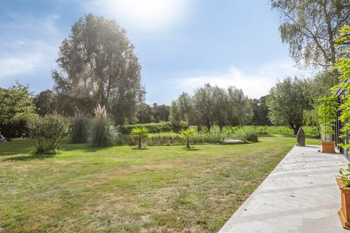 Foto 50 van Driehuizerweg 10