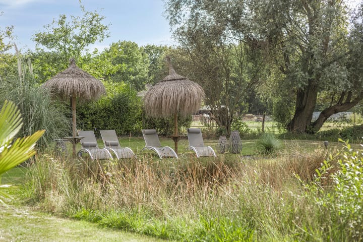 Foto 72 van Driehuizerweg 10