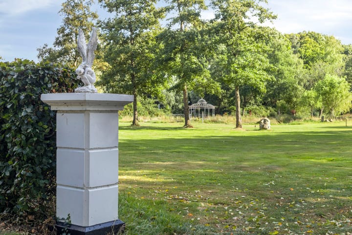 Foto 77 van Driehuizerweg 10