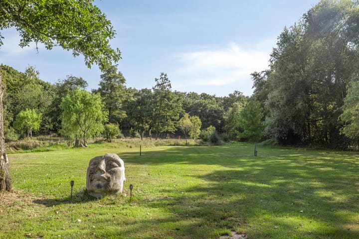 Foto 78 van Driehuizerweg 10